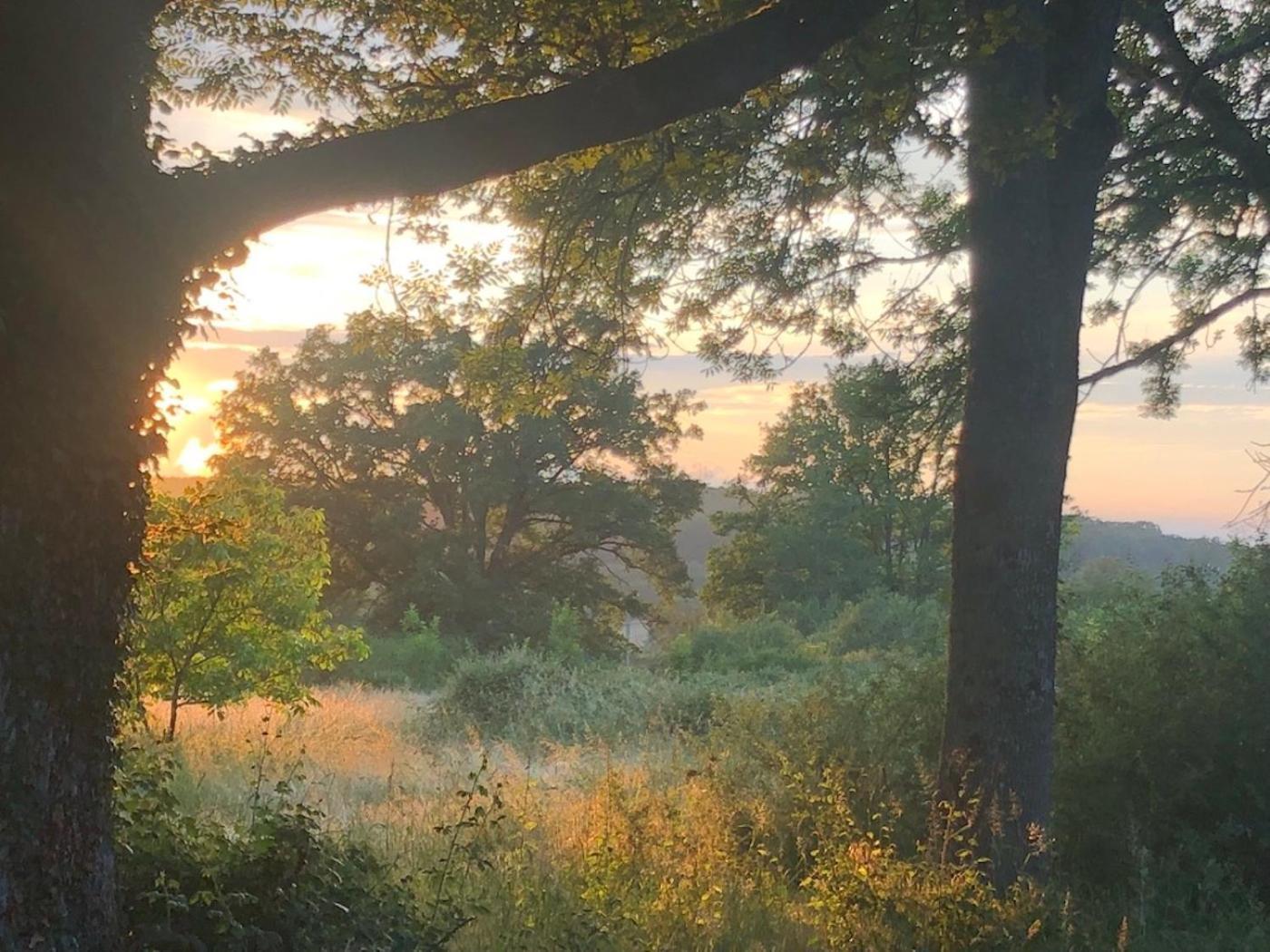 Domaine La Faix, Gite La Chouette Saint-Plaisir Exteriör bild