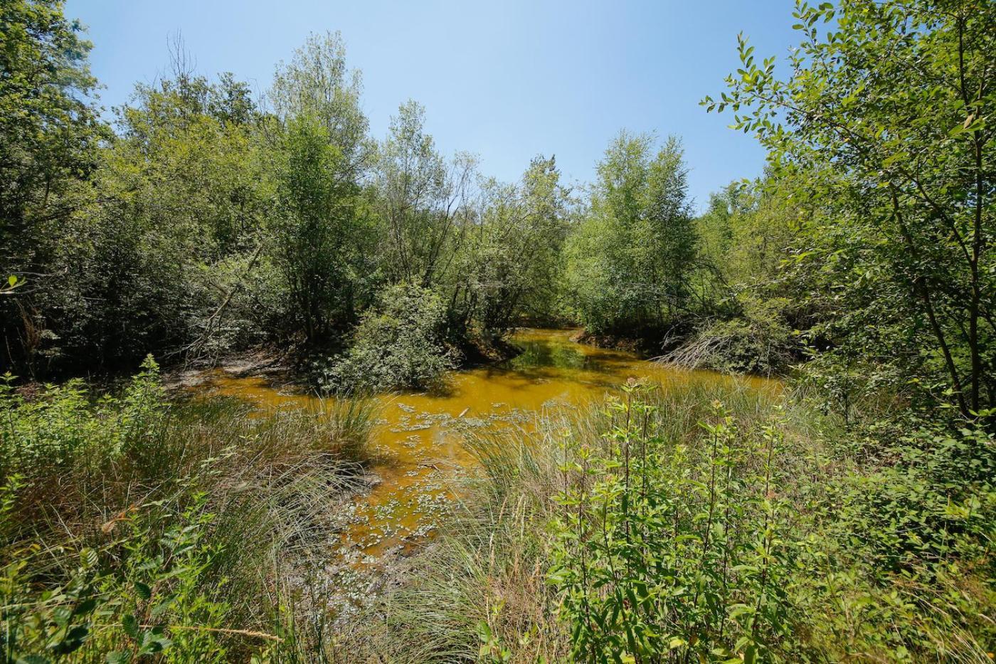 Domaine La Faix, Gite La Chouette Saint-Plaisir Exteriör bild