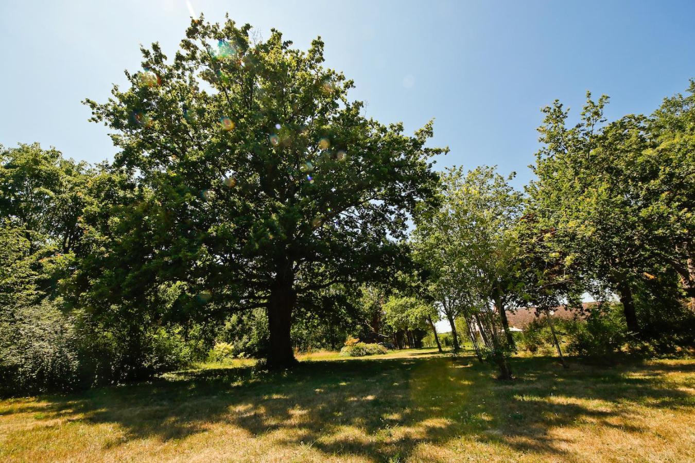 Domaine La Faix, Gite La Chouette Saint-Plaisir Exteriör bild