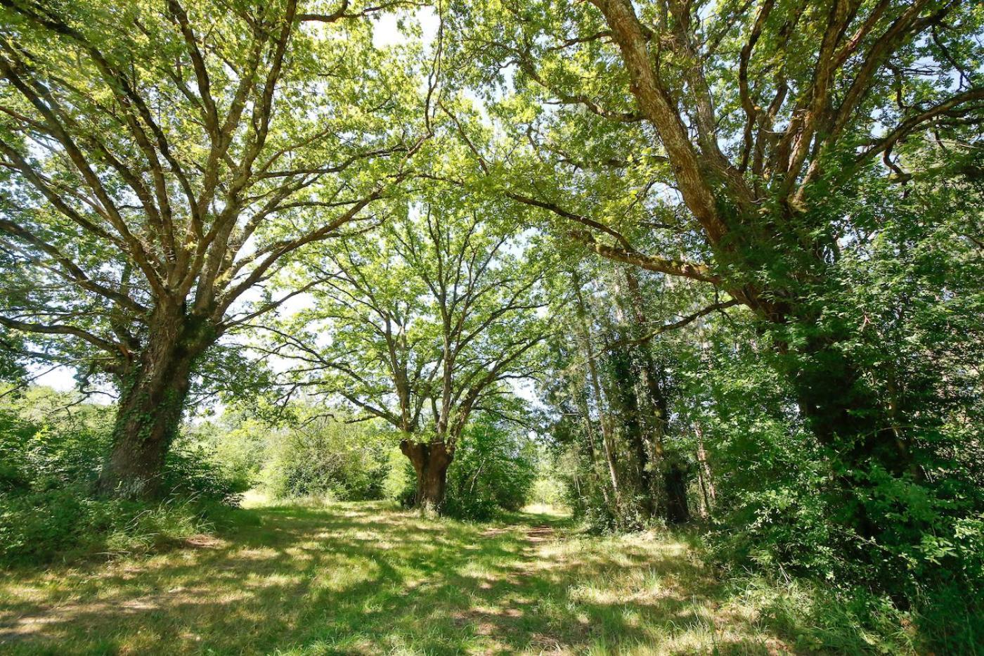 Domaine La Faix, Gite La Chouette Saint-Plaisir Exteriör bild